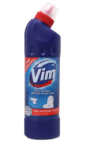 VIM500.JPG