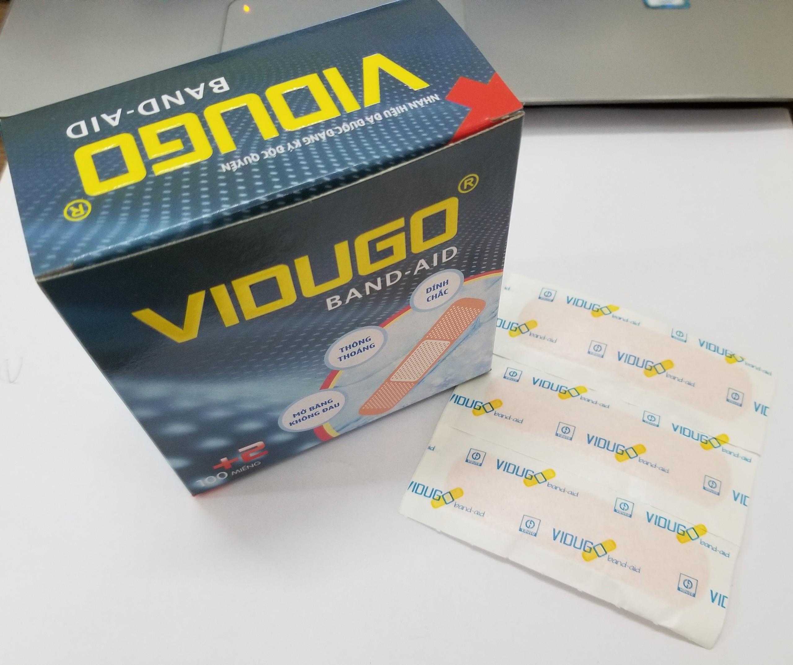 vidugo_h___p_v___mi___ng.jpg