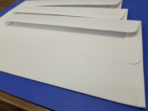 Bao thư (12*22 nắp tự dính keo 2 mặt)