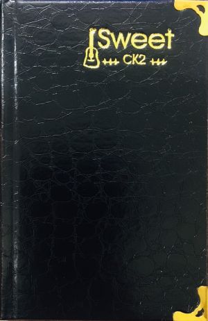 Sổ da CK2 dày (176 trang)
